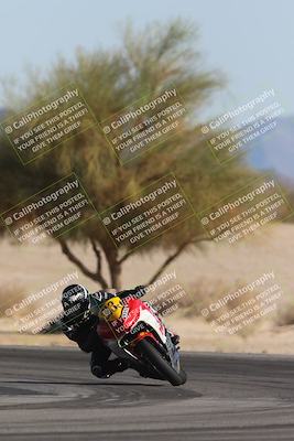 media/Oct-30-2025-Racers Edge (Thu) [[dabbdaf680]]/3-B Group/Session 5 Turn 4 Tree of Life/